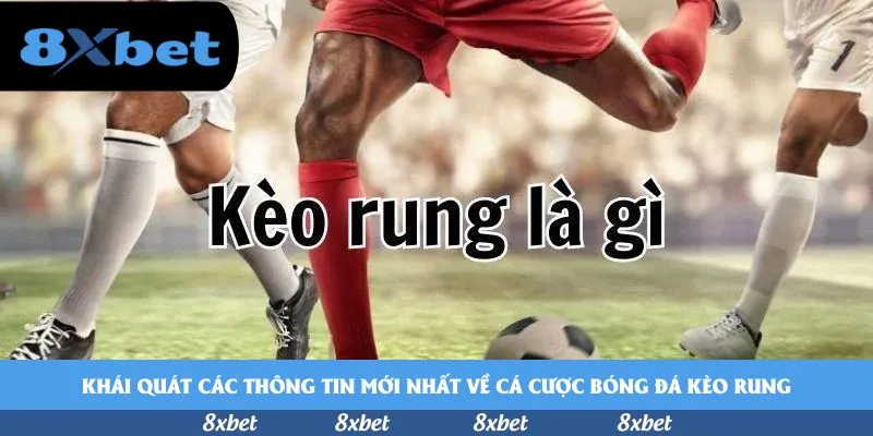 Khái quát các thông tin mới nhất về cá cược bóng đá kèo rung