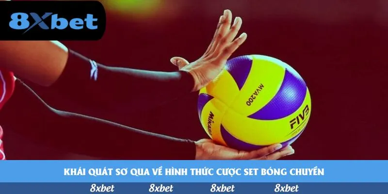 Khái quát sơ qua về hình thức cược set bóng chuyền